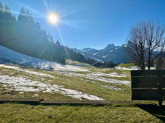Ski-In Chalet in top location