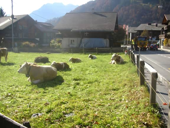 Minutes Walk from Gstaad Center - Great Apartment
