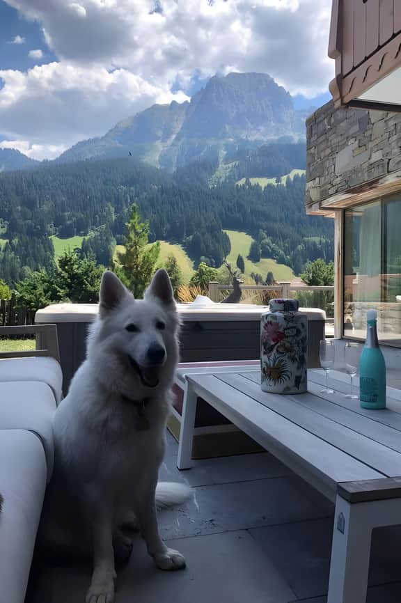 Super Luxury Serviced Apartment next to Gstaad - Image 3