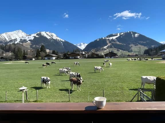 Alpine Haven 3-bedroom Chalet in Gstaad