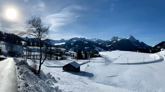 Enchanting Chalet in the Picturesque Schonried