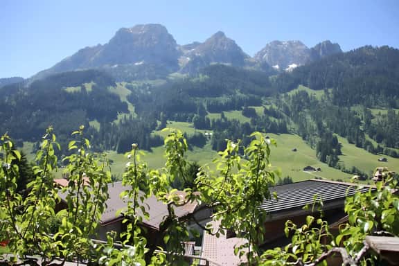 Greatly Renovated 400 Year Old Chalet near Gstaad