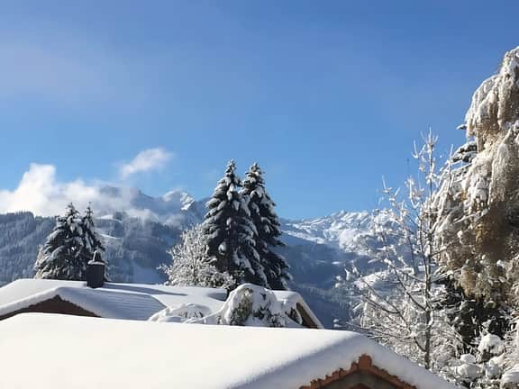 Gstaad - Luxury Flat in Schonried with Great Views