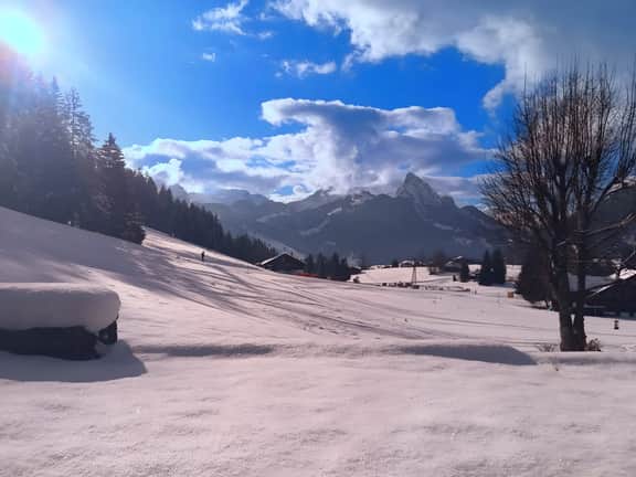 Ski-In Chalet in top location