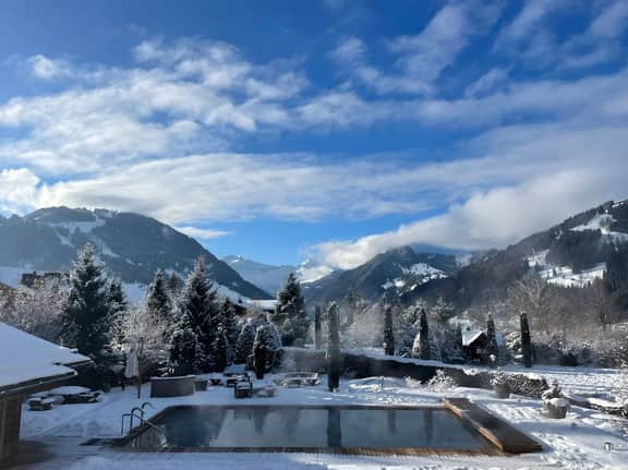 Luxurious Alpine Flat With Hotel Amenities - Image 3