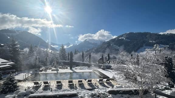 Luxurious Alpine Flat With Hotel Amenities - Image 4