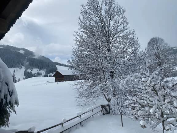 Gstaad Gem: Best Alps View & Serene Pond - Image 4