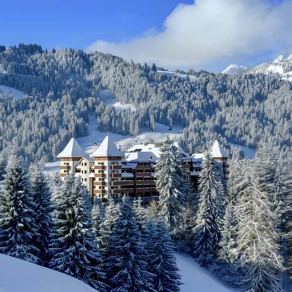 Luxurious Alpine Flat With Hotel Amenities - Image 5