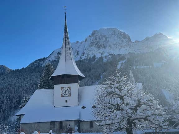 Charming Alpine Chalet in Rougemont - Image 5