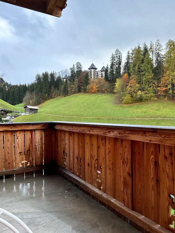 Brand New Super Chalet With Spa and Gym in Gstaad
