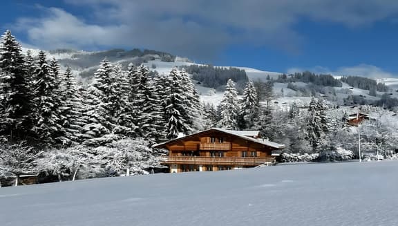 Divine Gstaad Chalet In Pure Elegance