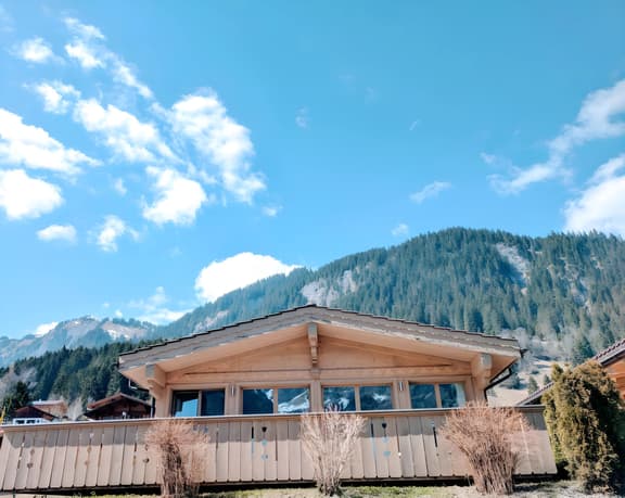 Cozy Scenic Family Chalet Gstaad & Glacier 3000