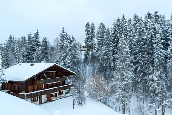 Cozy Apt Overlooking the Gstaad Mountain Area