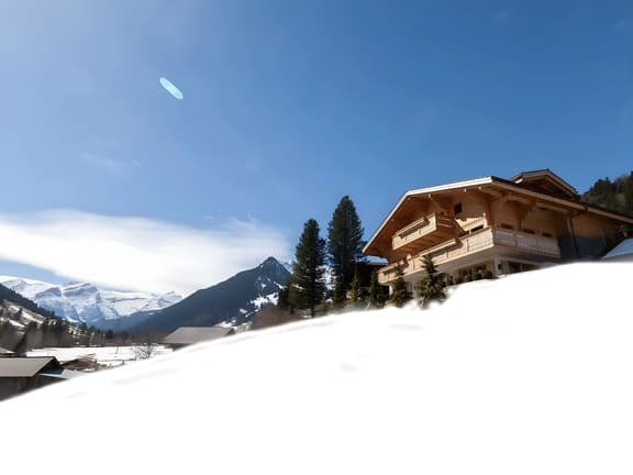 Grand Luxurious New Chalet with Sauna