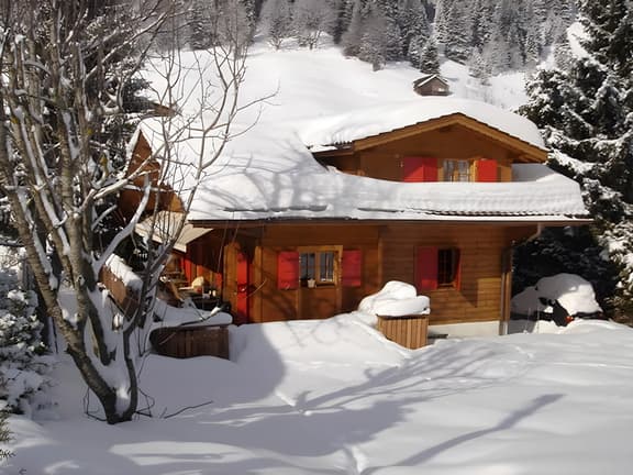 Exclusive, Charming 4 Bedroom Chalet near Gstaad