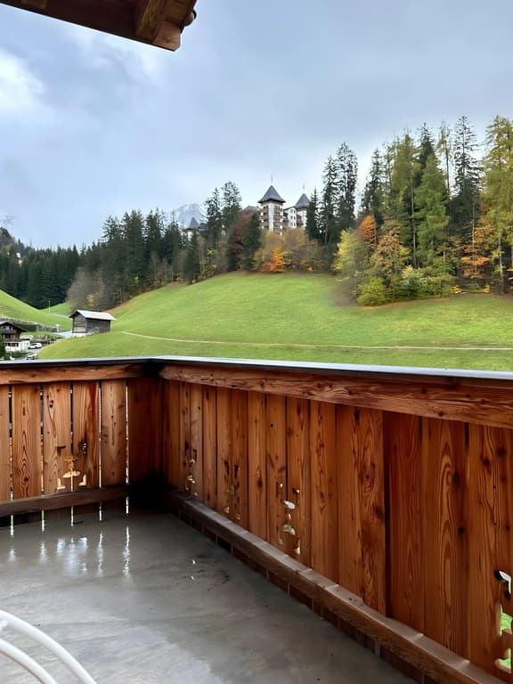 Brand New Super Chalet With Spa and Gym in Gstaad