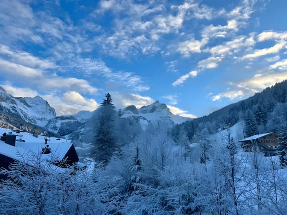Serene 3BR Apartment with Premier Ski Access