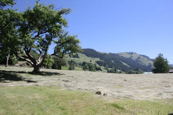 Greatly Renovated 400 Year Old Chalet near Gstaad