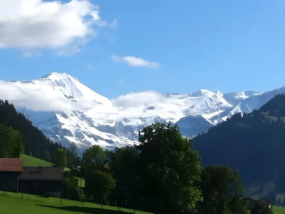 Gstaad - Luxury Flat in Schonried with Great Views