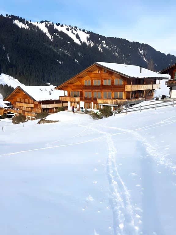 Stunning Gstaad Apartment With  Mountain Views