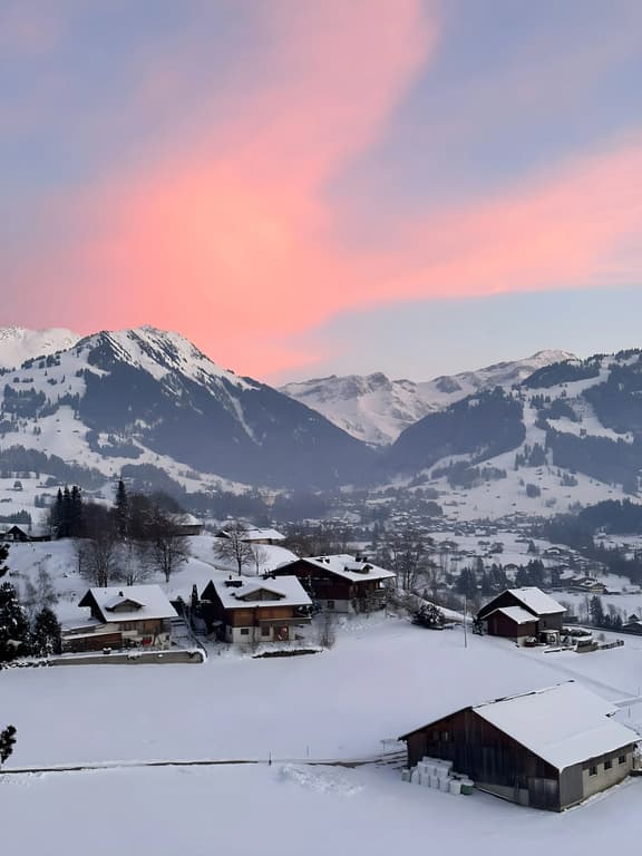 Charming Flat in the Heart of Saanen