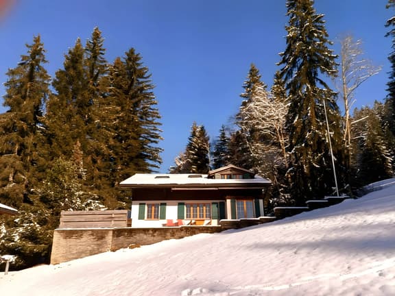 Ski-In Chalet in top location