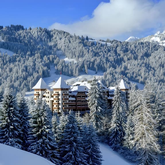 Luxurious Alpine Flat With Hotel Amenities