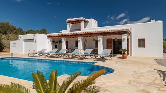 IBZ233 Privadia Taro