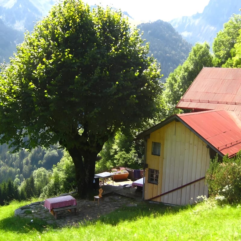 Heidi Chalet Alps - Unique Experience - Authentic Part