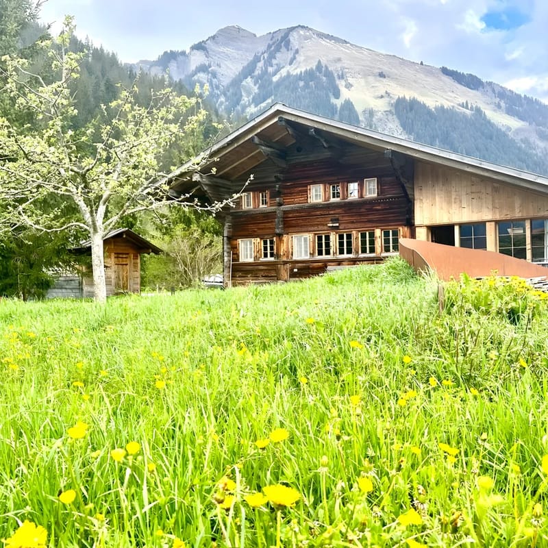 Top-notch Gstaad Chalet with supreme interior